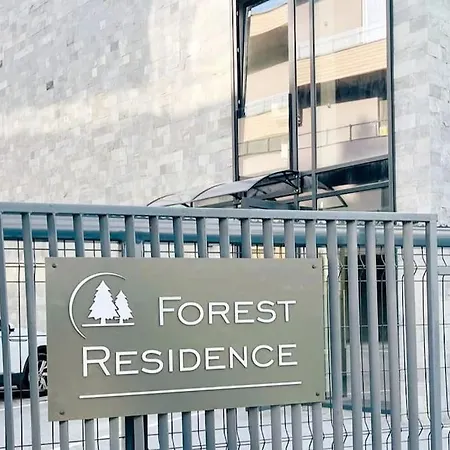 Forest Vision Apart * Velingrad